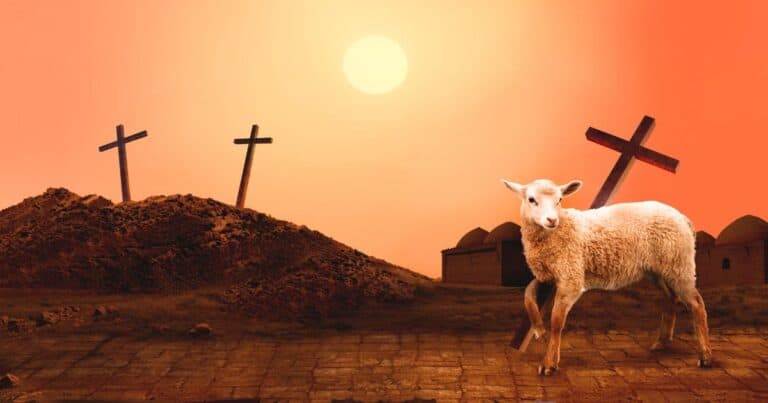 the lamb was on of the Animals Sacrificed in the Bible