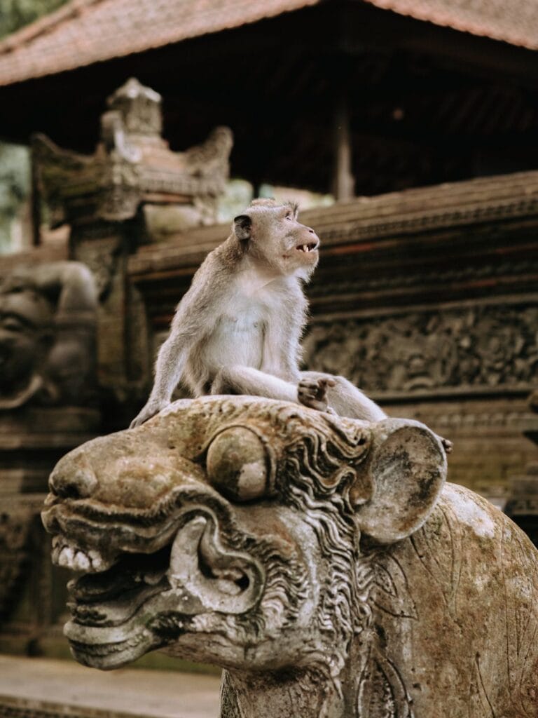 Bali Macaque sits on a monkey statue in the Ubud Monkey Forrest park in bali