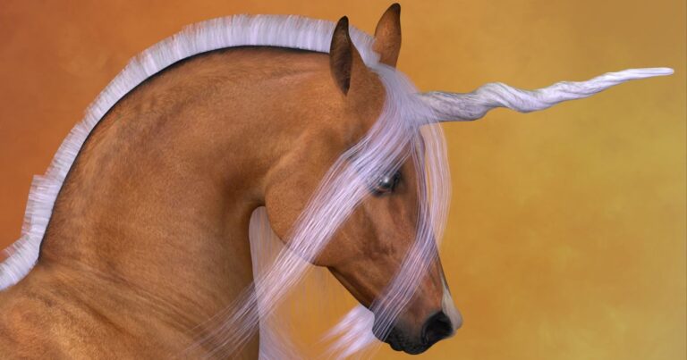 a unicorn, the national animal of scotland, is one of the weridest national animals
